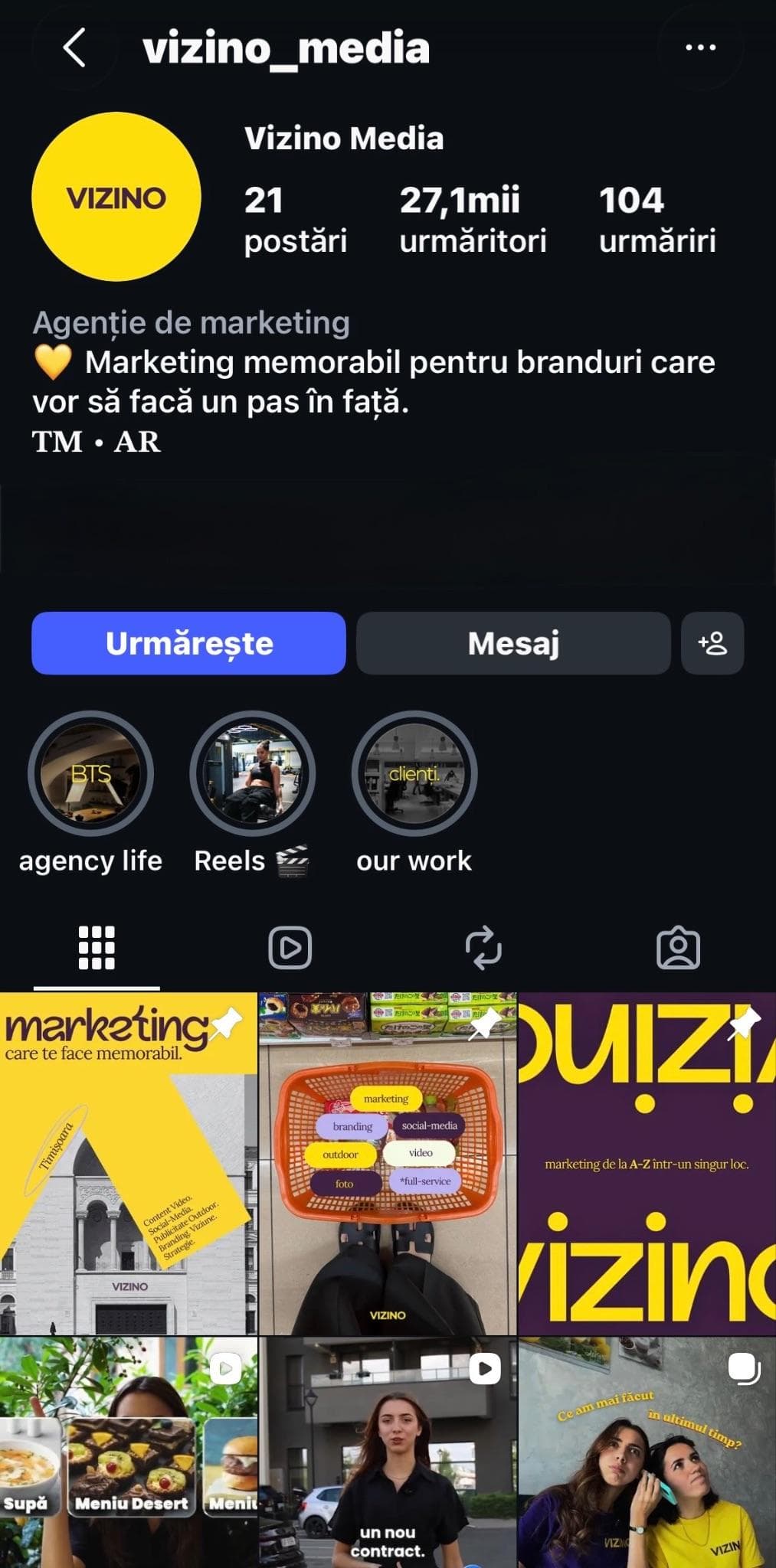 Profilul Vizino pe Instagram